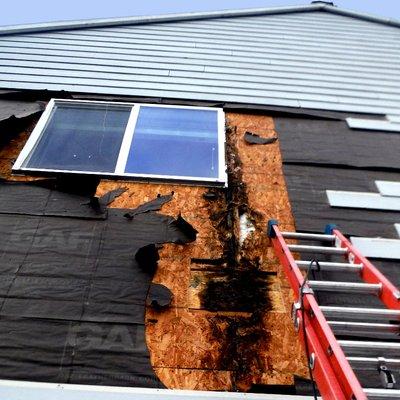 Dry rot discovered during a siding job near Portland, Oregon.