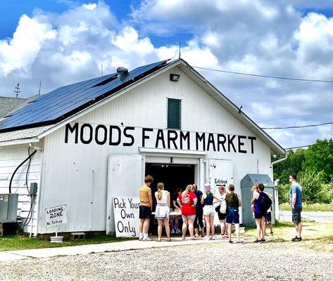 Mood's Farm Market -- late June