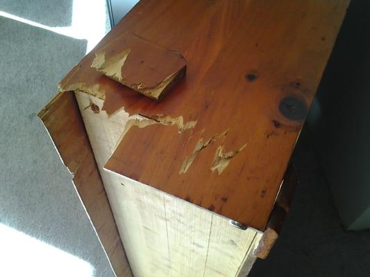 Nothing like destroyed furniture to brighten your move!