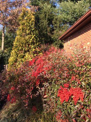 Maryland Gardens Tree & Shrub Farm