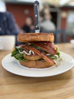 Heritage tomato sandwich!