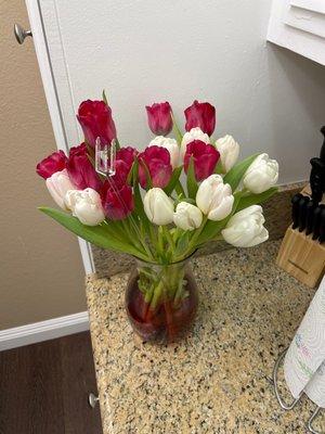 The beautiful tulips have bloomed!!!