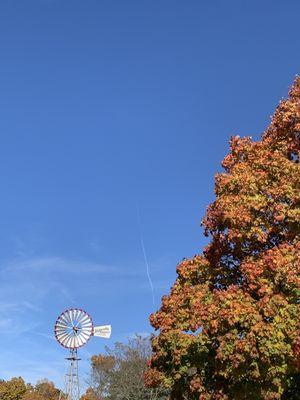 Autumn afternoon