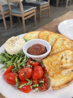 Burrata, panne & tomato