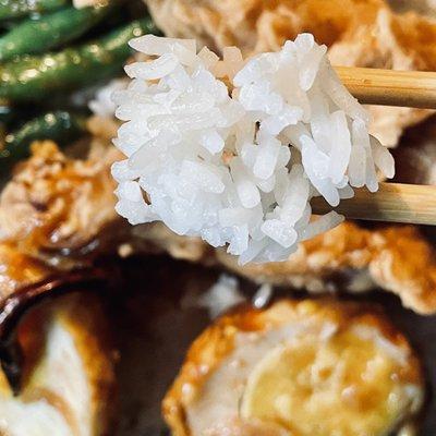 lunchbox--fried chicken, string beans, and eggs over rice. $10 + tax + tip