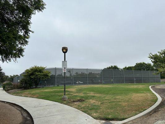 Dang, no courts available this morning. Four pickleball games already going at 8 am.