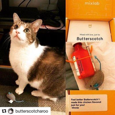 Much love to @butterscotcharoo and Cooper Square Veterinary Hospital. We look forward to a speedy recovery and helping more furry loved ones