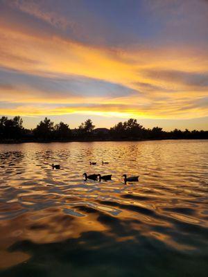 Heritage Lake Master Association