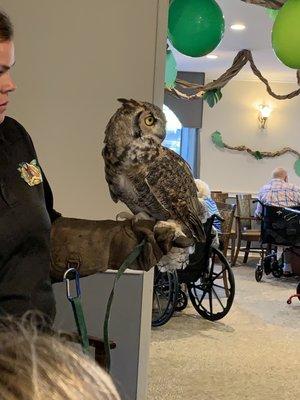 Cabrillo Hospice helped sponsor an incredible Safari night at Regency Fallbrook Assisted living for residents and family