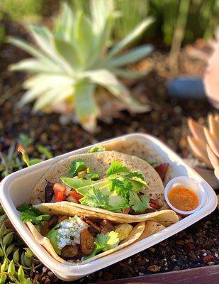 Breakfast Tacos (L-R): Steak N' Eggs, Vegetarian (potatoes, mushrooms, avocado), Maple Bacon | 3 tacos - $15