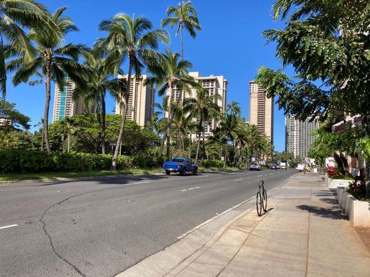 Palm trees are major assets here. I remember we used to catch parades starting at this area.