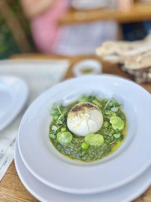 BURRATA AL PESTO