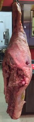 Whole Hind Quarter ready to be cut down