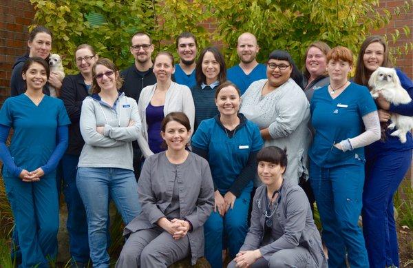 Cascade Park Animal Hospital Staff