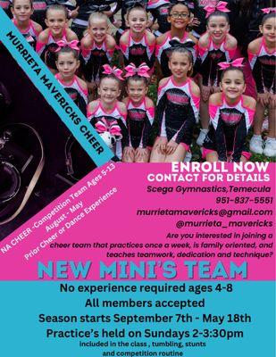 Registration open all New Mini Team  no experience required!
Spots till available on our competitive youth 12 and under not to late to join