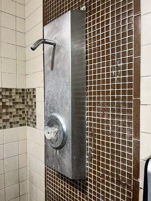 Missing shower heads, soap scum, moldy walls