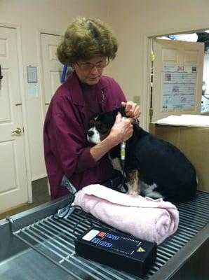 Zsa Zsa getting her lazer treatment from Dr. Blanton