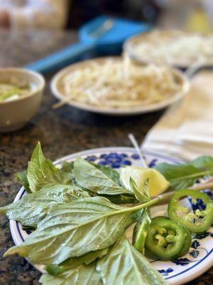 This was all that was given for two large bowls of Pho. We share a 1/6 of a lime and each get one sliver of jalapeño.