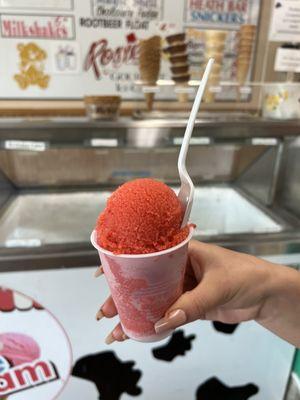 Rosie's Gourmet Italian Ices