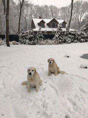 Washington Square Animal Hospital