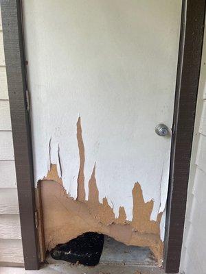 Door that was chewed up 2 years ago