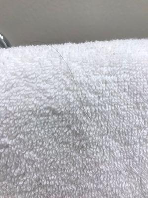 A fricking hair on the hand towel in the bathroom