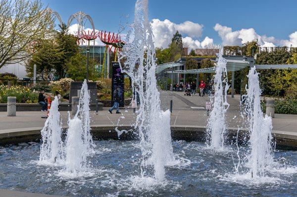 Seattle Center