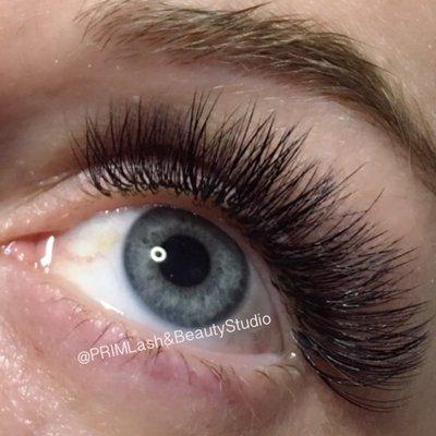 Volume Lashes