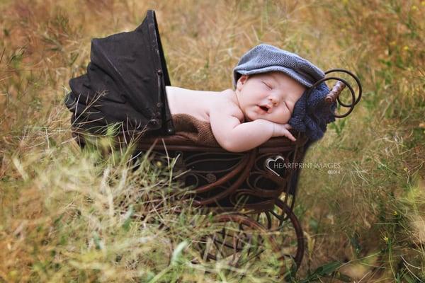 Custom and creative newborn portraits