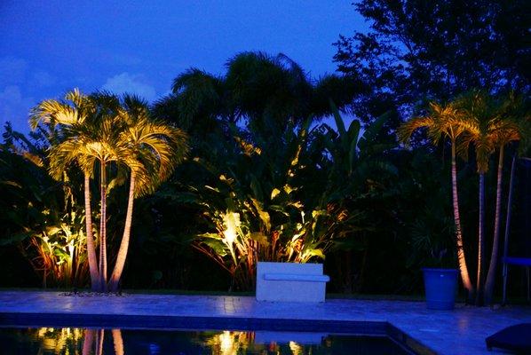 Garden lighting. House in Miramar  Landscape lighting; Up-lighting; Led lights.