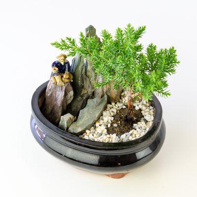 Juniper bonsai in a ceramic pot featuring an old man in the mountains. Offering delivery in LA and store pickup.