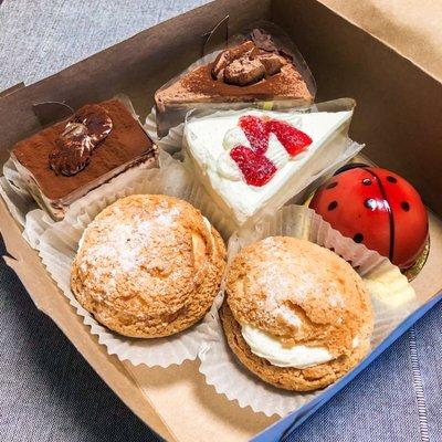 Clockwise: Tiramisu, Chocolate Chiffon, Strawberry Shortcake, Raspberry Chocolate Mousse Ladybug, 2x Vanilla Cream Puff