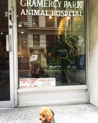 Gramercy Park Animal Hospital