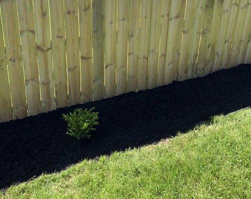 03-3 Mulched fence line