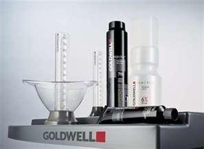 Certified Goldwell Colorist's