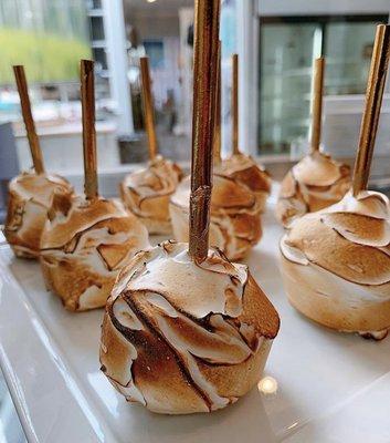 A s'mores cake pop!!!