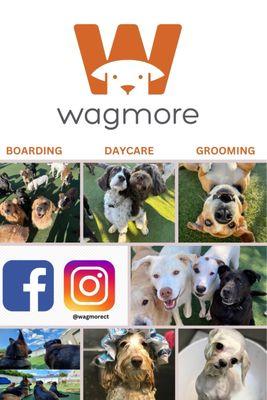 Wagmore