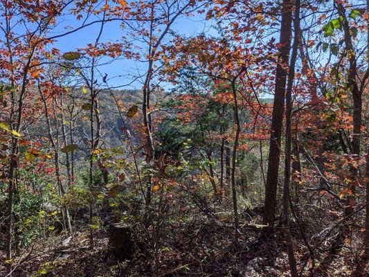 Cloudland Canyon State Park