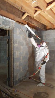 Mold Remediation Atlanta