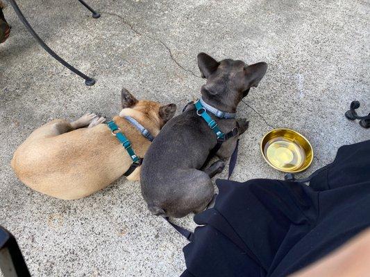 The boys love the staff and the patrons here. Food is great and so is the patio raegae