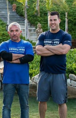 Head Behaviorist Steve is proud to have been hand selected by Cesar Millan to be one of his Assistant Trainers.