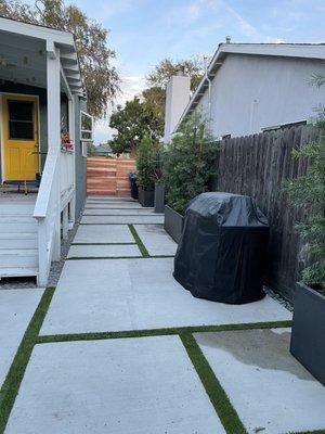 Turf in between concrete and podocarpus in planters