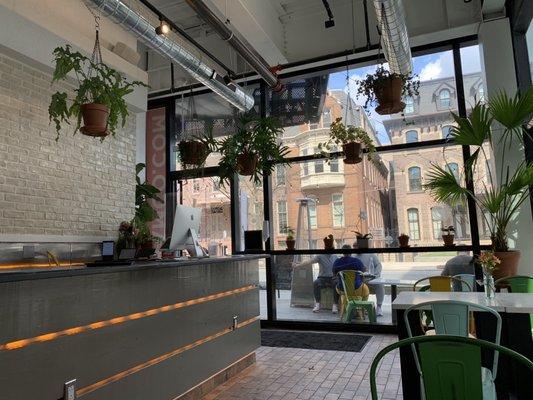 Inside the restaurant. Loved all of the plants!