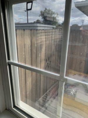 Window screen