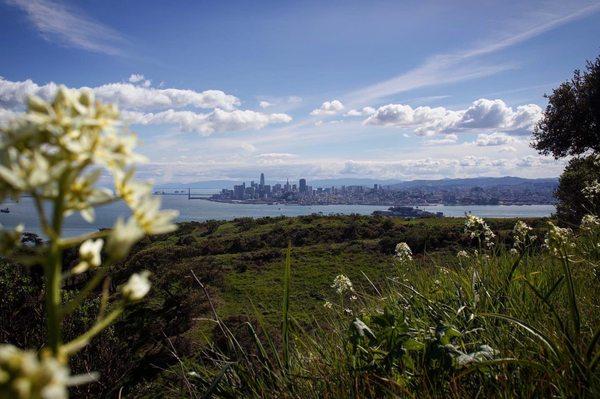 Angel Island State Park