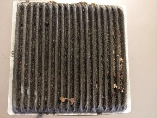 Filter that "didn't need to be replaced"