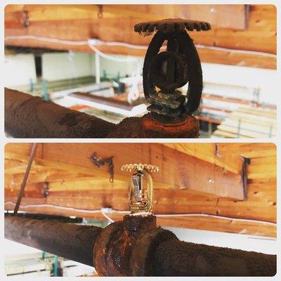 Replacement of Corroded Fire Sprinkler Head before & after during an Annual Sprinkler Test.