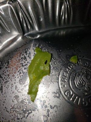 Bugs in food and dirty bowls