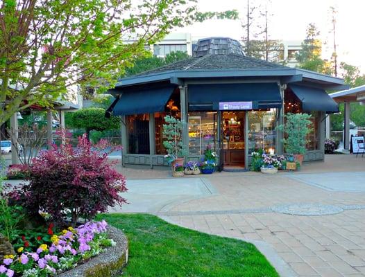 Our beautiful location in Sharon Heights Shopping Center in Menlo Park where the parking is EASY!