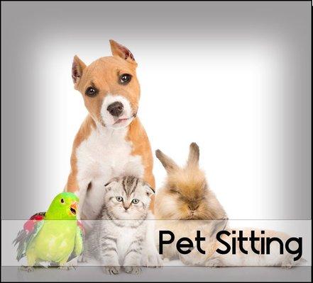 pet sitters